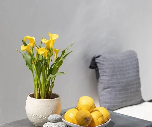 Cassaris Mykonos 別荘 Drafaki