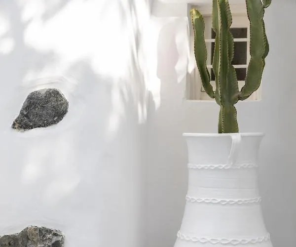 Cassaris Mykonos Drafaki