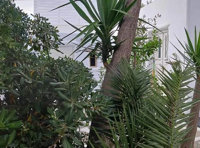 Cassaris Mykonos Semesterbostad *