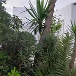 Cassaris Mykonos Дом отдыха *