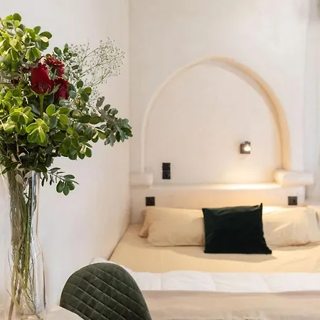 Cassaris Mykonos 펜션 *