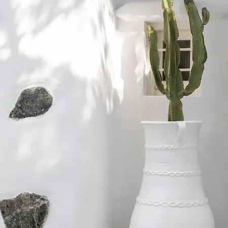 Cassaris Mykonos Drafaki