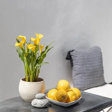 Cassaris Mykonos 펜션 Drafaki