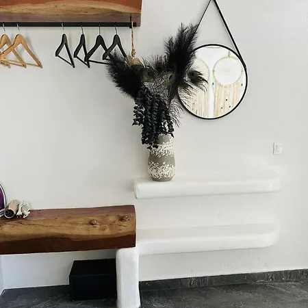 펜션 Cassaris Mykonos Drafaki