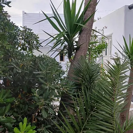 Cassaris Mykonos בית נופש *